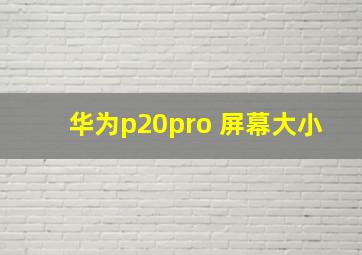 华为p20pro 屏幕大小